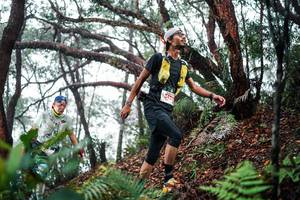 BIB: 
                            <button type="button" onclick="openModal(26296507)" class="btn btn-primary btn-sm float-right btn-popup" data-toggle="modal" data-target=".modal-high-quality">
                        <i class="fas fa-shopping-cart"></i> Add to Cart
                    </button>
                                            <button type="button" onclick="isThisMe(26296507, true)" class="btn btn-success btn-sm float-right btn-popup btn-isme hidden" data-toggle="tooltip" data-placement="bottom" title="นี่คือรูปของคุณใช่ไหม คลิกที่นี่เพื่อเอาเข้าอัลบั้ม">
                        <i class="fas fa-plus"></i> Add to album
                    </button>
                    <button type="button" onclick="isThisMe(26296507, false)" class="btn btn-warning btn-sm float-right btn-popup btn-isnotme hidden">
                        <i class="fas fa-ban"></i> Remove from album
                    </button>